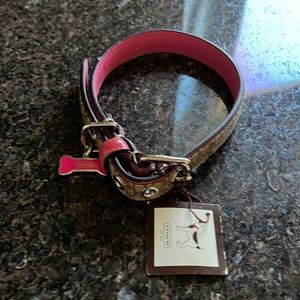 Coach dog collar